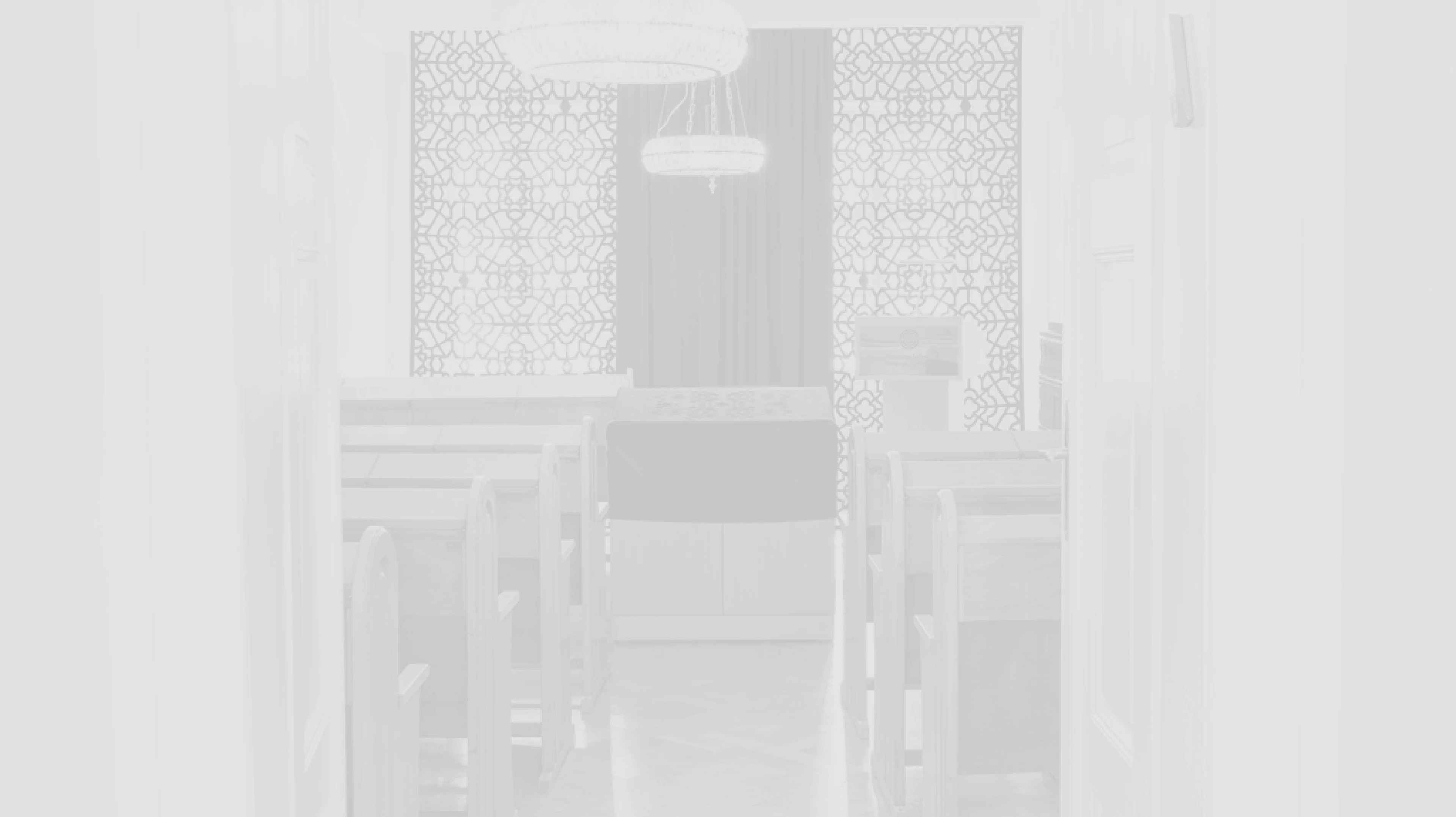 splash_screen_bg-4